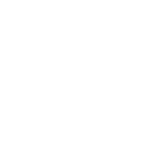 logo-romane-botcazou-blanc